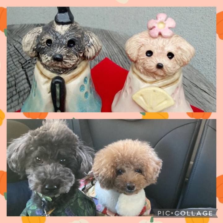 9163bd06 8d3c 49af 8705 8b7eb7eefe22 1675746844168