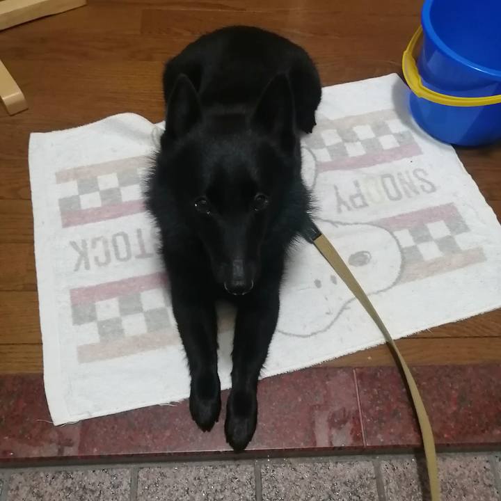 9163d2da 00ce 4499 b3fa 717afc21afa3 1632611991099