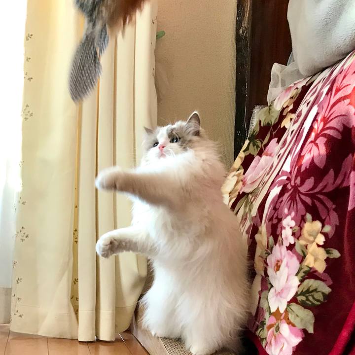 9163dce0 825a 4f87 b77c a394f1d6c780 1585864386922