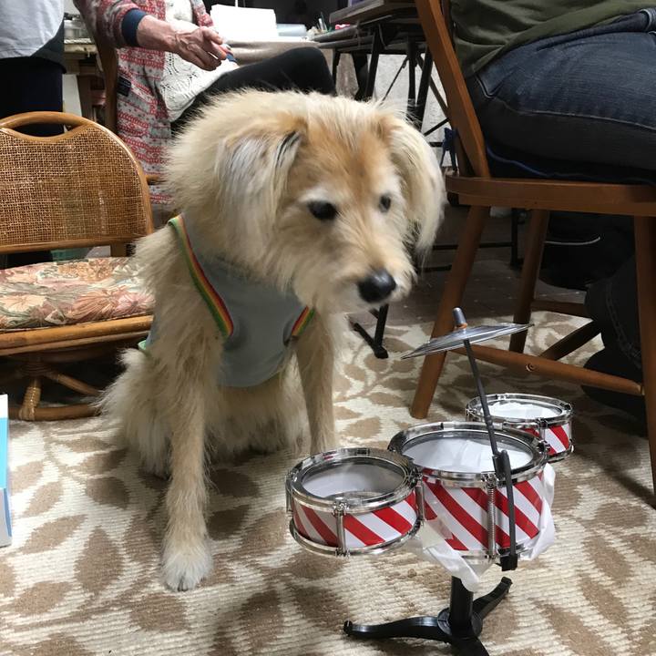 91640947 b700 43ae 8e4f 88b16eeb1aad 1546440564411