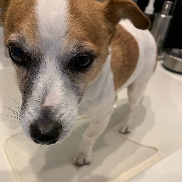 91641229 df6a 4363 a623 b4c0541f1b66 1641518616434