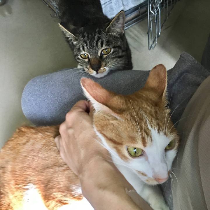 91641ed7 1f78 4698 a4ad 04ec0cc41d76 1564223558730