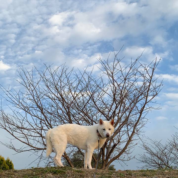 91641f13 26d1 4779 abd5 48ef0373bbe9 1578305570853