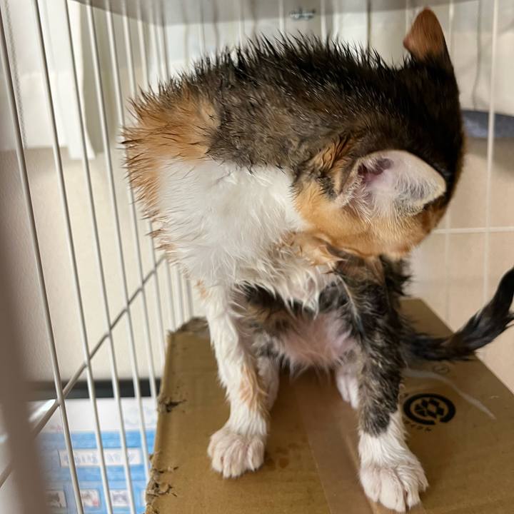 916423d3 25b1 4942 851a 3812ffd767c8 1656721721643