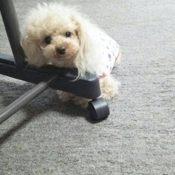 91644965 b835 4cf7 bbf5 737d8f499228 1535289595540