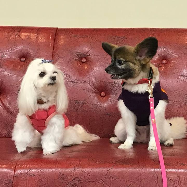 91645b9c b184 4ef3 8ca4 cf7c067d3368 1773451168746