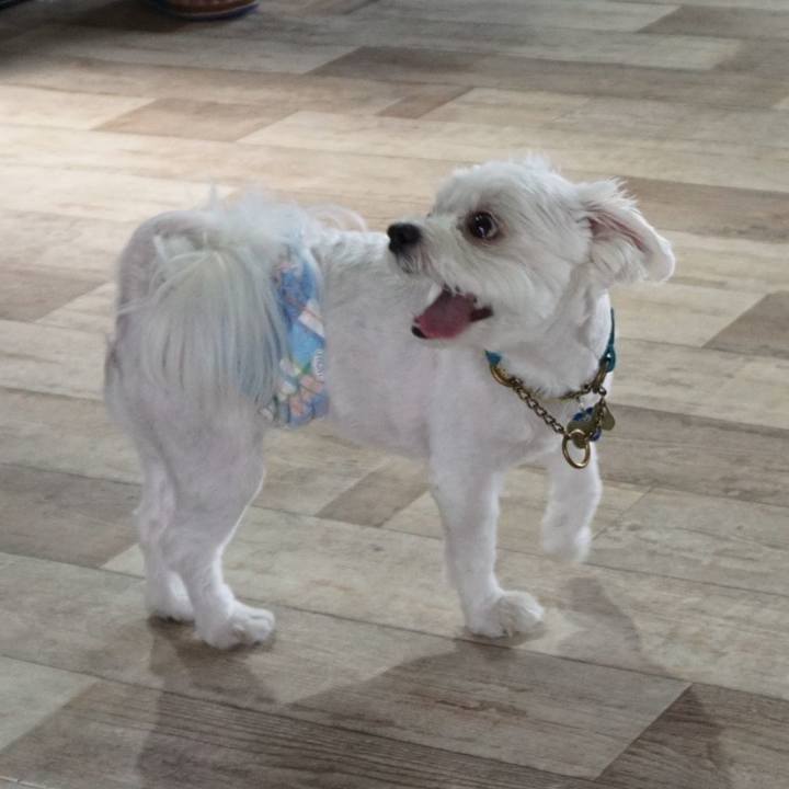 9164688c 987b 44e6 94f8 5a932a82dff2 1533515090723