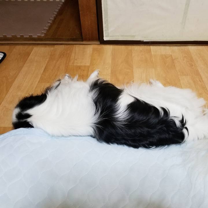 91648cff c99b 4212 9bb0 8805fae1af07 1536667699257