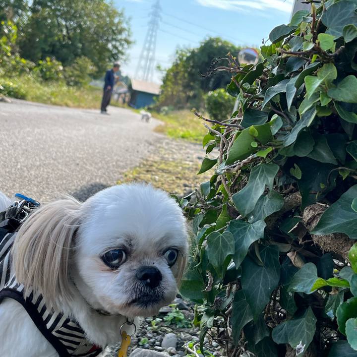 91648f75 3a49 4157 bd99 c04f58029f24 1666507484312