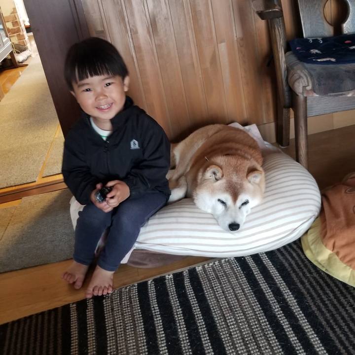 91648fc9 2a63 442c bddd f1e5dcf93a64 1746317316589