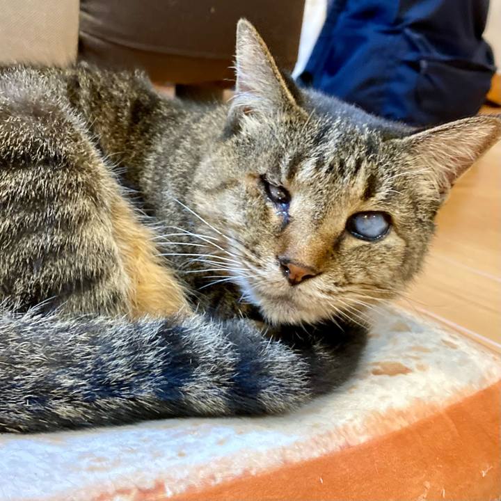 9164cd52 4548 4834 a135 7017122d7a2b 1673776273299