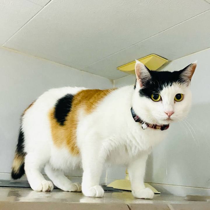 9164da91 3068 43d6 a94c f699b82527fb 1685365880849