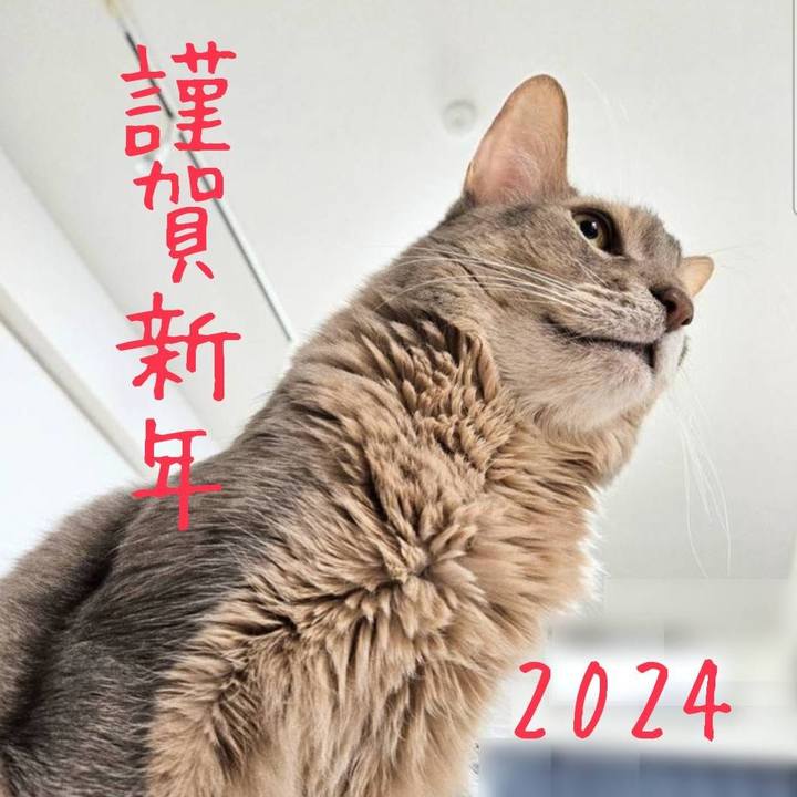 9164dc5f da60 4b04 9468 516c6f2daf2c 1704071518594