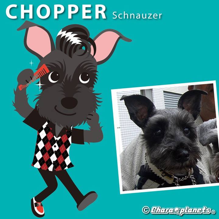 91652242 255b 4b76 8aa8 da1af6651086 1561511782717