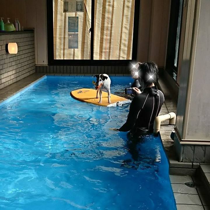 91652ad9 1417 4dfd 905c dad501068628 1518331358924