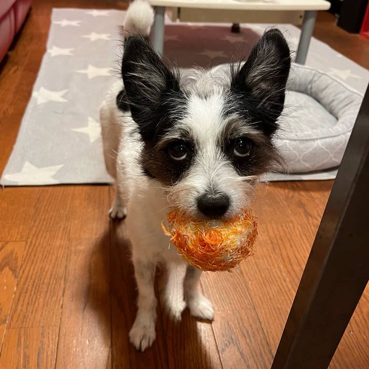 91654f63 a28b 4f6f bd4f 7eea525bae5a 1694000533296