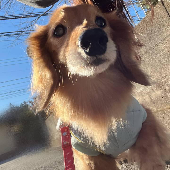 9165d258 8e4d 4a12 b082 7cdb80fc92f0 1679226516792