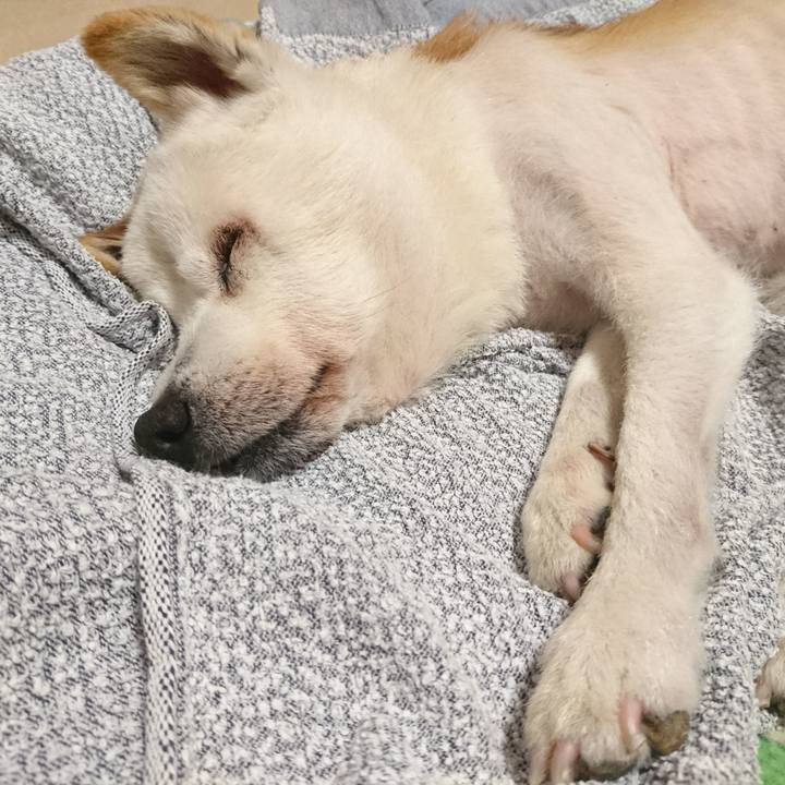 9165da37 2304 4186 91fc e7d0dcd34085 1536329199265