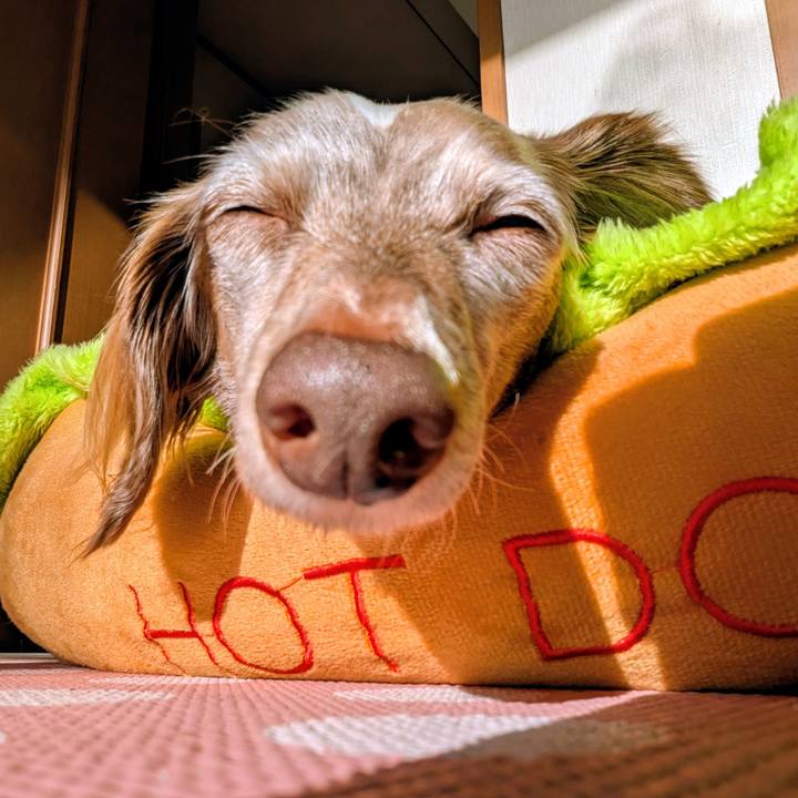 9165ea21 3b61 4979 954e 32f01b96d15a 1762212062008