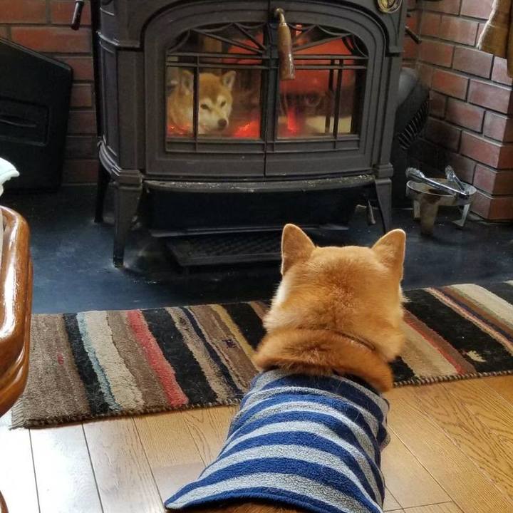 9165f65f ba0e 40e2 b912 ba5ccb2833af 1705311040568