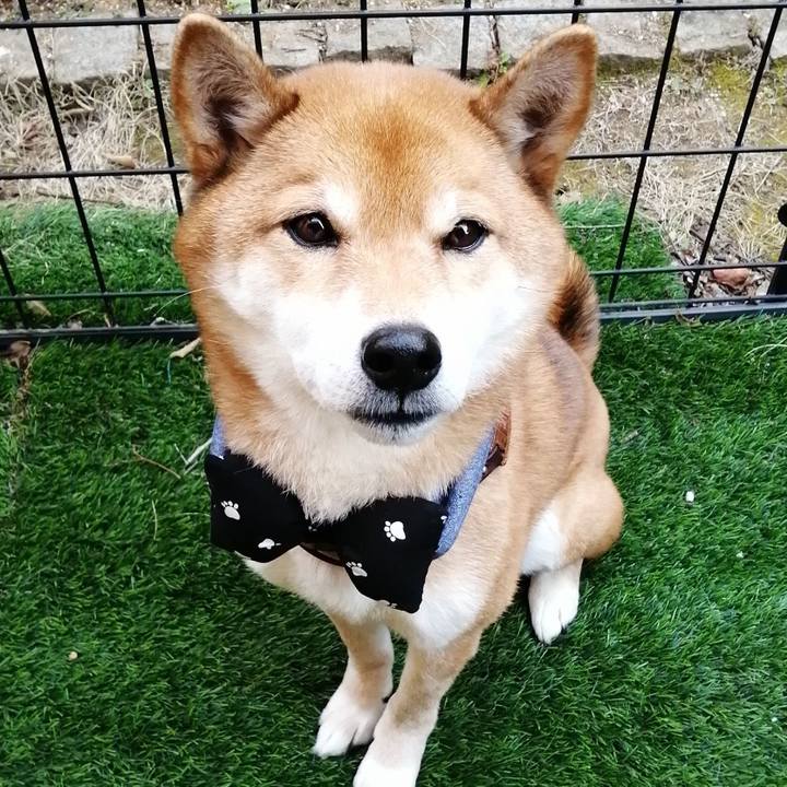 9166063b a205 4521 98e5 5553db6331e1 1611300356465