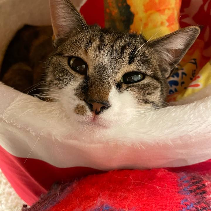 916623ab 3359 4c03 a7d2 2fa73093c1e3 1674464829410