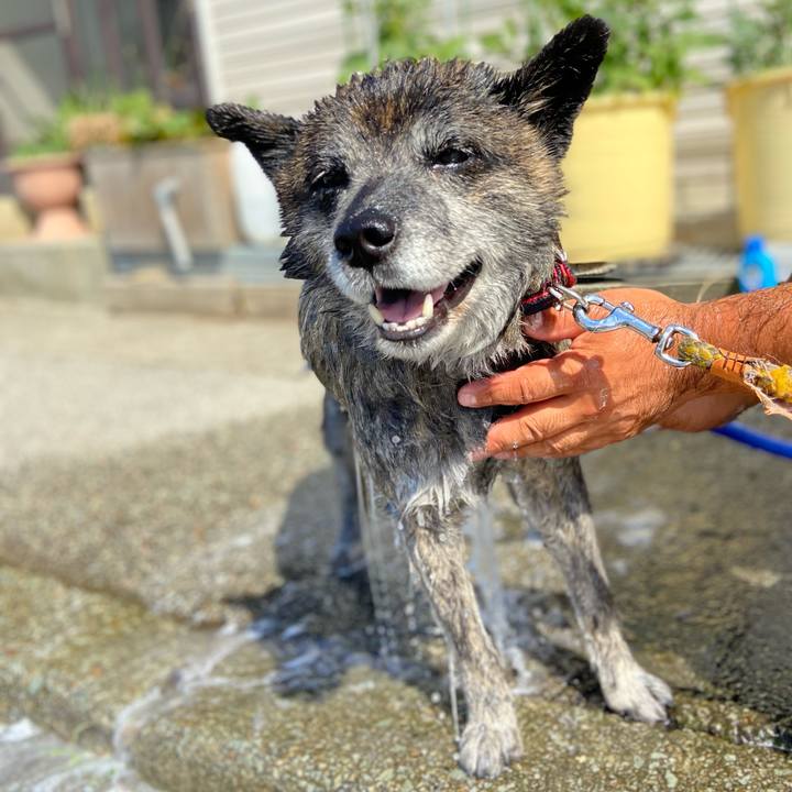 91663425 7a8b 40d2 bc44 8590e6091700 1657347914028