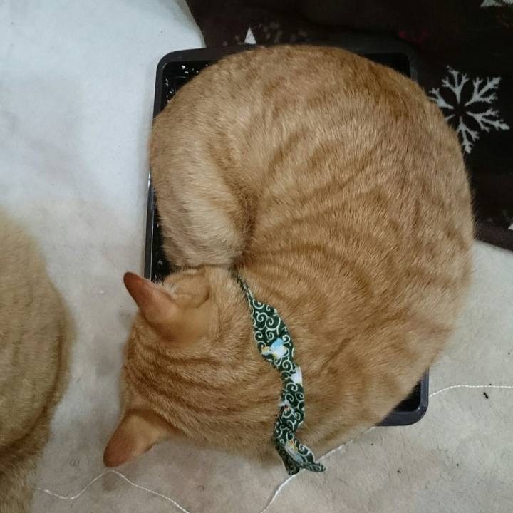 91663f24 9010 47b5 ba85 ca76b8c1c42e 1576657503890