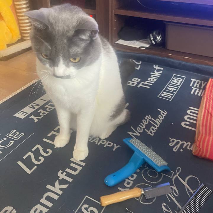 91664216 337b 464c ab98 d977b28ba77c 1696734159997