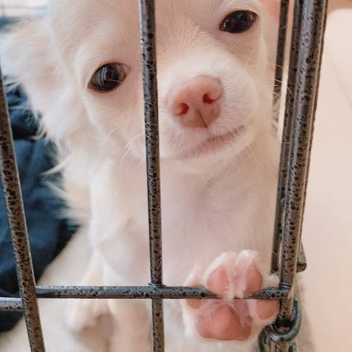 91665005 8651 4835 abbb be07bcea742b 1593040500145