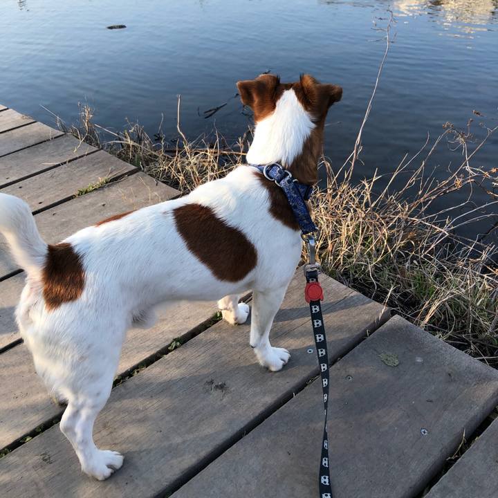 91668fed 3e87 4858 b1cd df2997b548c6 1580198269895