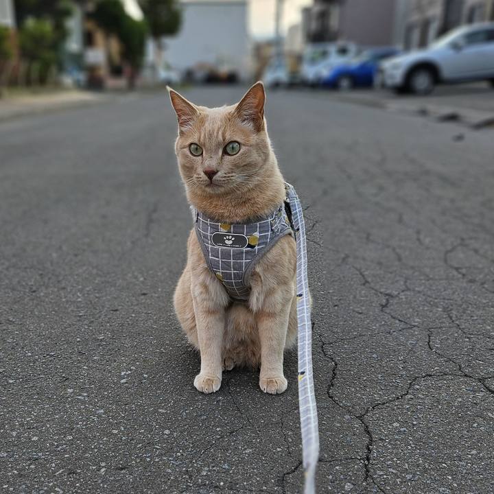 91669cfc 586d 484f adbf 5586e8f8a77b 1720949433695