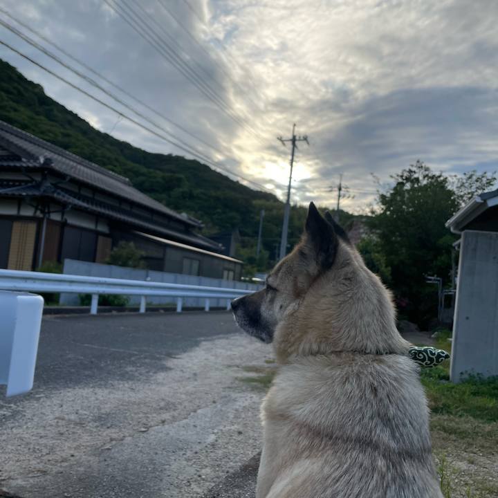 9166ace7 a7ca 4b96 ac95 7e221ef40612 1685018623608