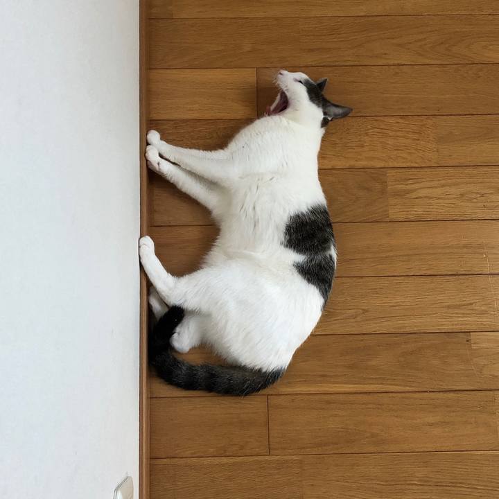 9166b265 f1fd 4292 9f33 32a98efb6295 1597544355628