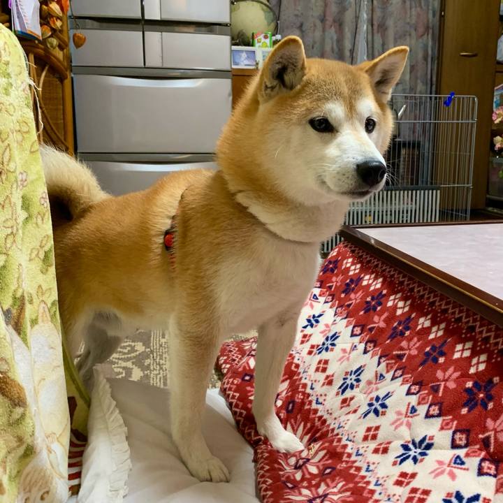 9166cd5a 44aa 45c5 aa40 318c41331ea6 1673769799976