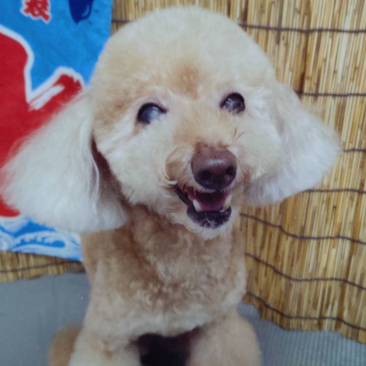 9166d0c9 eb03 4d09 a5c5 43da059d59ca 1660995489425