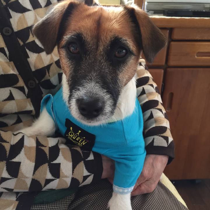 9166faeb 5bec 4b96 a863 364cb1d9d390 1509505368906