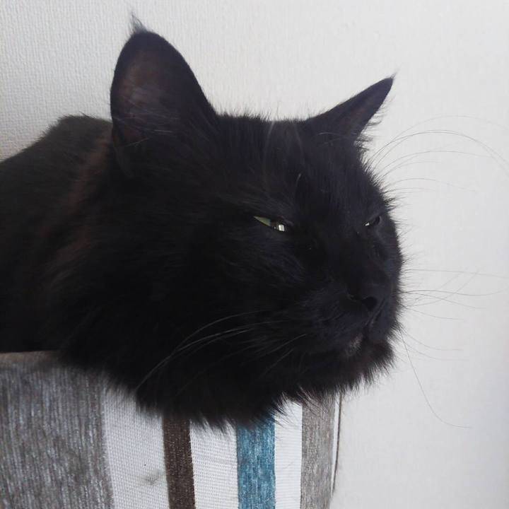 9167746c e26e 48b8 9a7f a53a2c7a8739 1526700466739