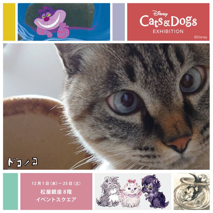 9167e039 de79 42f1 b786 264c7fef17aa 1638449123602