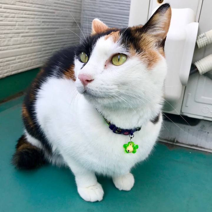 9168113d c5c5 41fe 93e8 f902f5aad12e 1516065106693