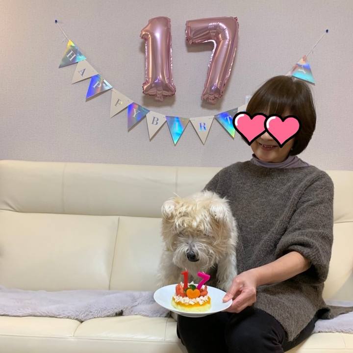 91682233 08c7 490d 8199 031dc8c9b575 1733575014918