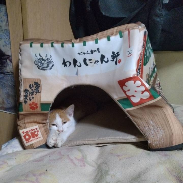 916831cf 9930 487f 9c2a 8388e5e0f4e6 1728648473961