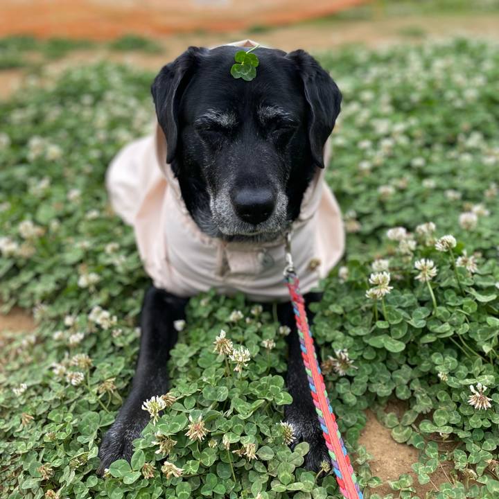 91683804 7ae3 42ec 8f87 d7cc797c9b50 1620697084190