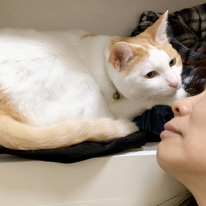 9168447c 4a2e 458d 9947 db510ac15705 1589807036031