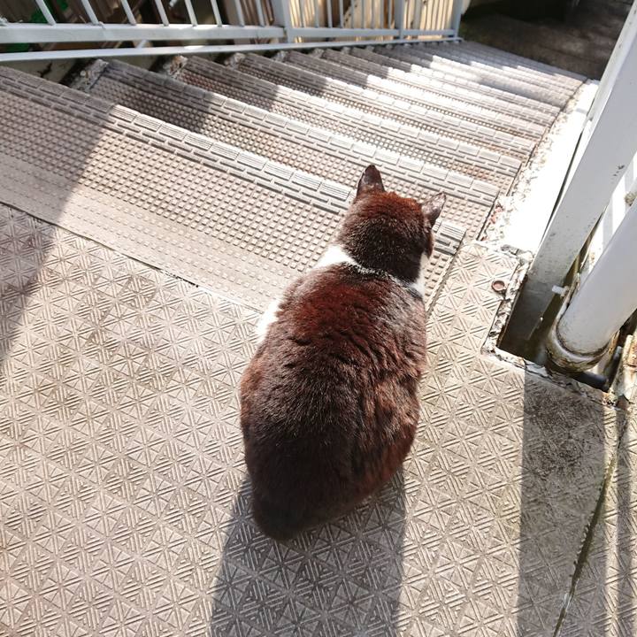 91685041 bae9 4cc4 974a 30c58a718773 1652184006600