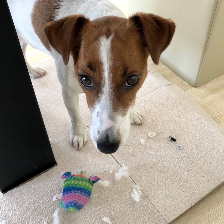 91689d15 96cf 4973 8bd7 38f683ae522e 1599743884206