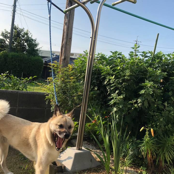 91695538 1e38 4409 aab0 a6f5683ead74 1563281254635