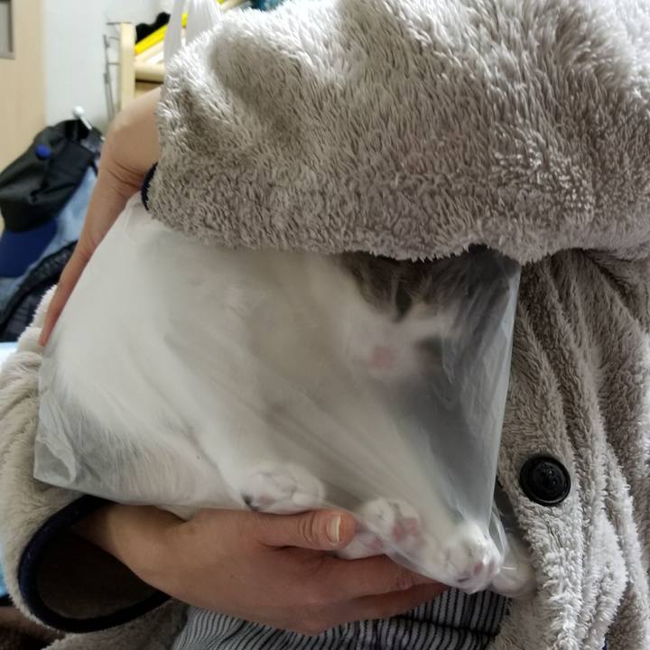 91696592 868d 435e 9e7f 0218f0aab56c 1520258693834