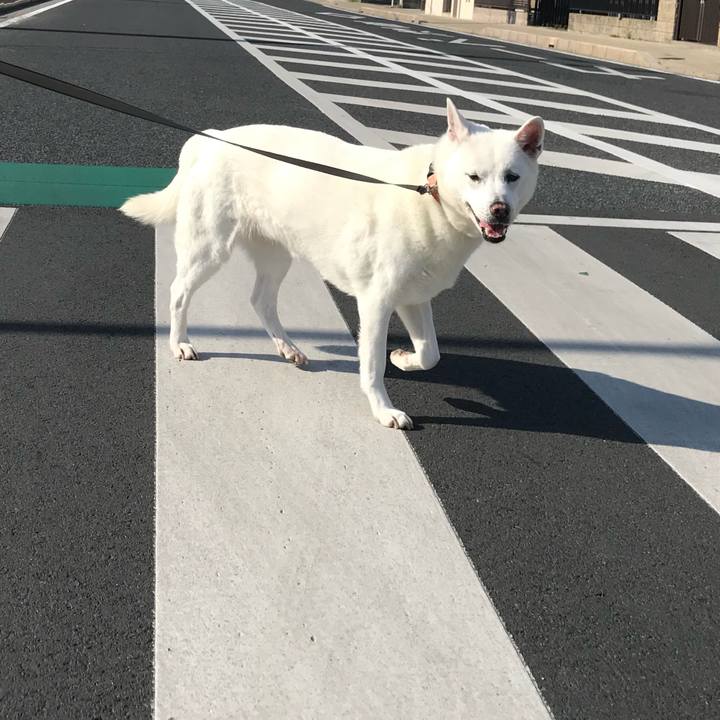 91698600 19b2 4997 8d1f f15c2383b1dd 1556926259749