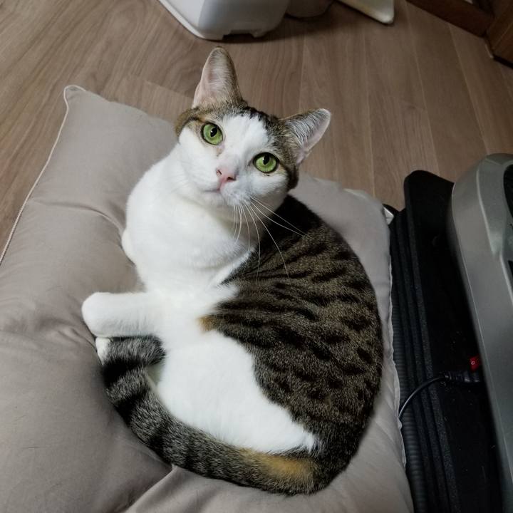 916999fa 2940 4c1a 8a9a b4d298805207 1612388311160